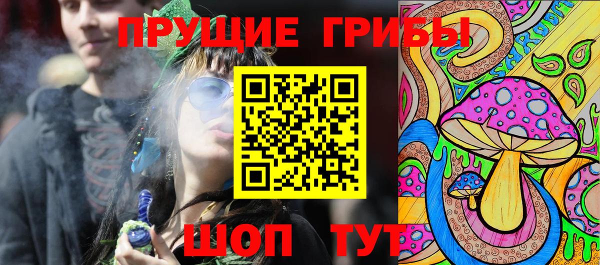 Псилоцибиновые грибы Psilocybe Нурлат