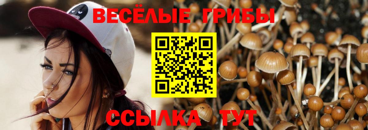Нурлат  Псилоцибиновые грибы Psilocybine cubensis  Вход с VPN 